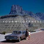 PINEAPPLE THIEF - Your Wilderness (re-release)