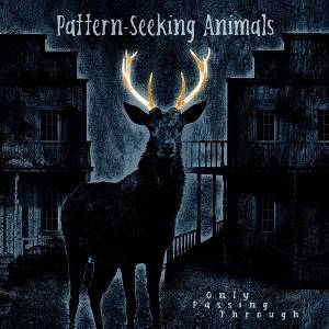 PATTERN-SEEKING ANIMALS - Only Passing Through (Black 2 LP + CD)