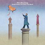 BOWNESS TIM - Stupid Things That Mean The World (Ltd 2 CD Mediabook)