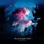 PINEAPPLE THIEF - All The Wars (re-release)