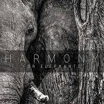VARIOUS - Harmony For Elephants