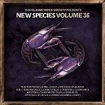 VARIOUS - Classic Rock Society Sampler - volume 36